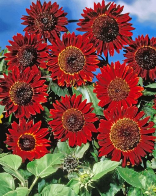 aesthetic-red-sunflowers-paint-by-number