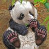 Baby Panda paint by numbers