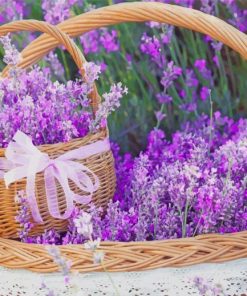Lavender Basket Paint by numbers