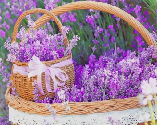 Lavender Basket Paint by numbers