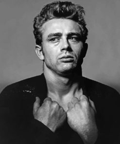 Black And White James Dean paint by numbers