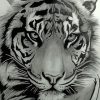 Monochrome Tiger paint by numbers
