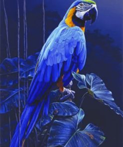 Blue Parrot Paint by numbers