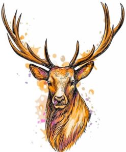 Deer Head paint by numbers