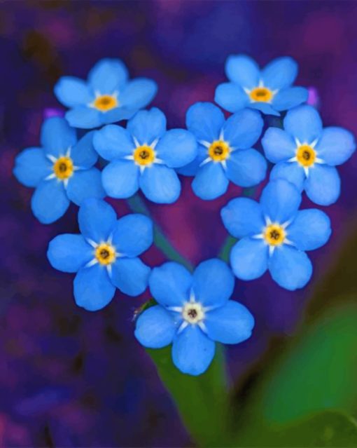 Forget Me Not Paint by numbers