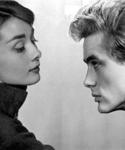 James Dean And Audrey paint by numbers