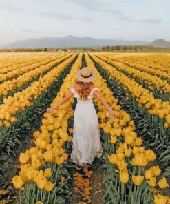 Lady In A Field Of Yellow Flowers paint by numbers