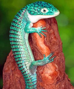 Mexican Alligator Lizard paint by numbers
