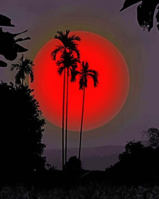 Palms Silhouette Sunset paint by numbers