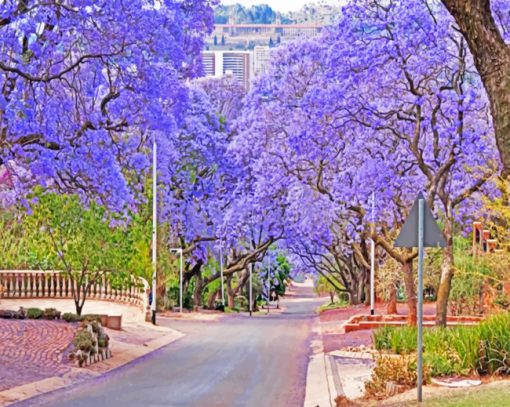 Purple Bloom Pretoria paint by numbers