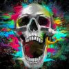 Screaming Skull paint by numbers