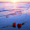 Beautiful Roses And Beach paint by number