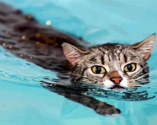 Cat In Water paint by number