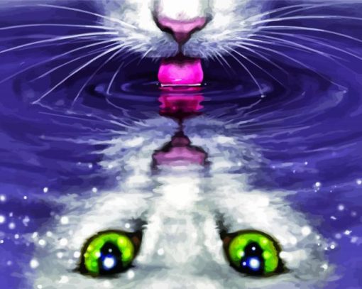 Cat Reflection In Water paint by number