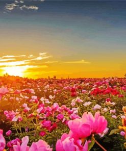 Flower Garden At Sunset paint by number