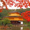 Golden Pavilion Kyoto paint by number
