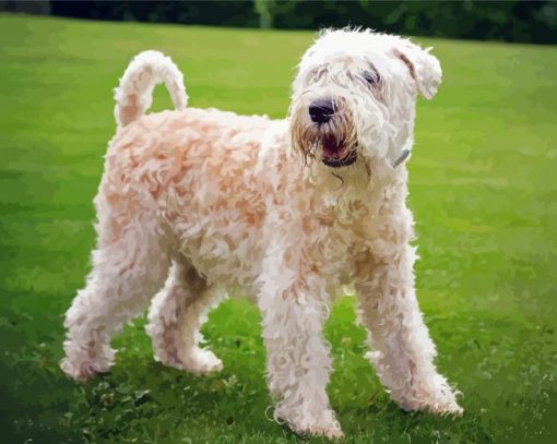 Soft Wheaten paint by number
