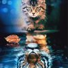 The Cat Tiger Reflection paint by number