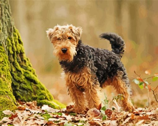 Welsh Terrier Dog paint by number