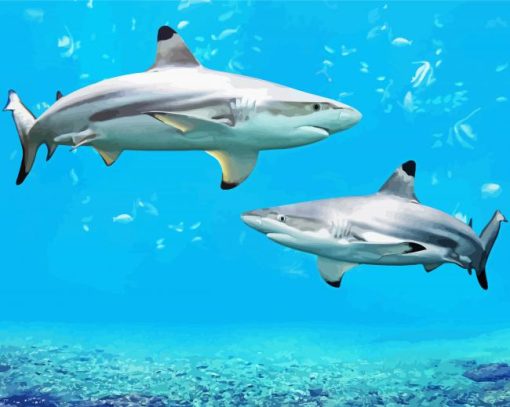 Blacktip Sharks paint by number