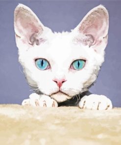 Blue Eyes Devon Rex Cat Head paint by number