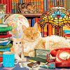Cats With Book paint by number
