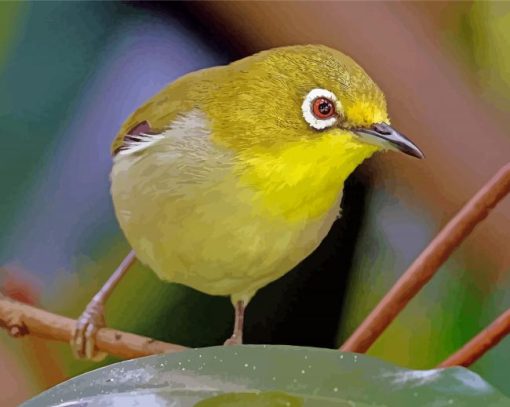 Wonderful Ring Eyed Bird paint by number