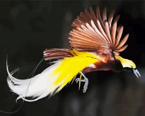Aesthetic Paradise Bird paint by number