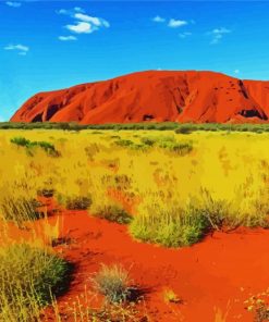 Australian Outback paint by number