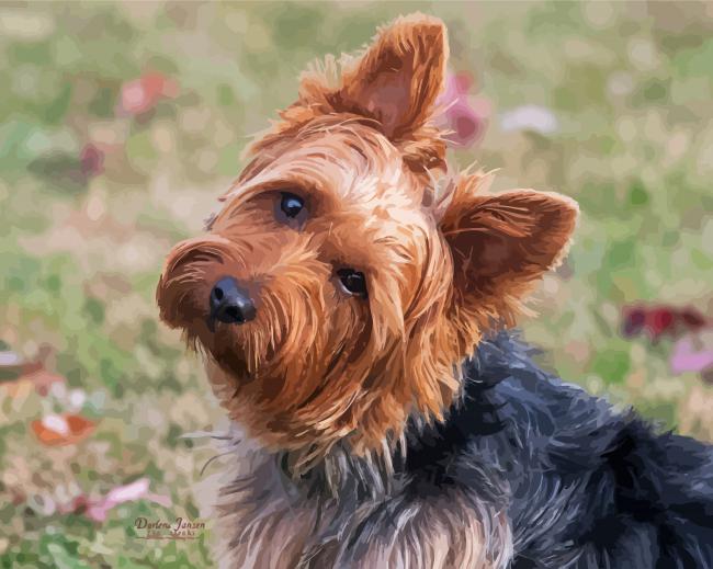 Australian Terrier Dog paint by number