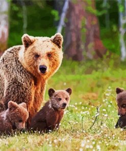 Beautiful Mother Bear With Her Babies paint by number