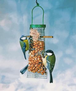 Birds Feeder paint by number
