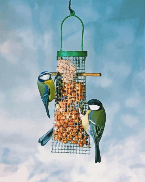 Birds Feeder paint by number