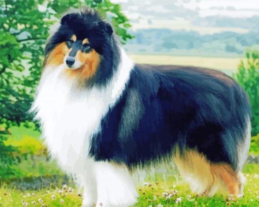 Black Rough Collie paint by number