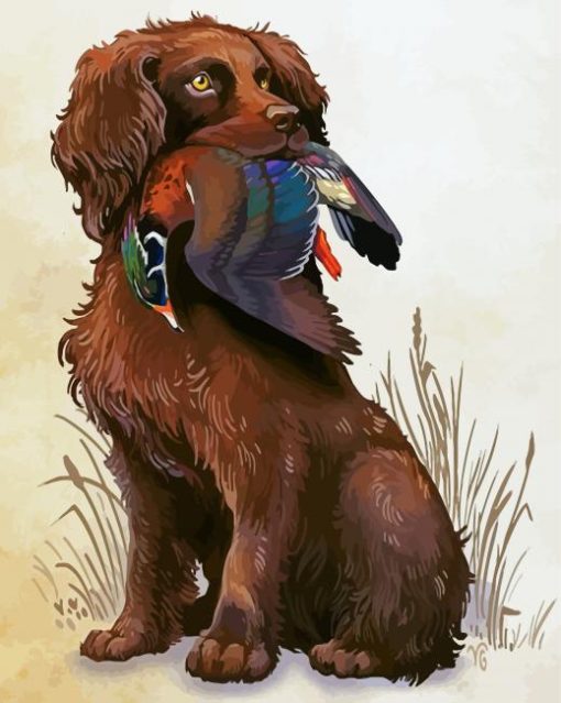 Boykin Spaniel Hunting Bird paint by number