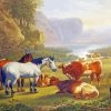 Cattle And Horse paint by number