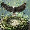 Eagle Bird Nest paint by number