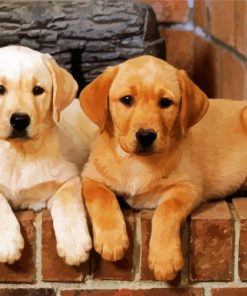 Golden Labrador Puppies paint by number