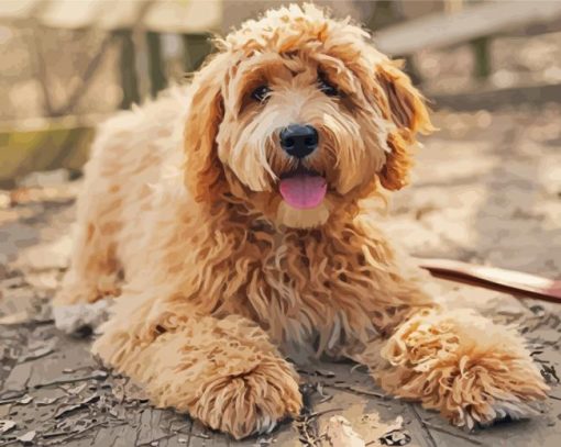 Goldendoodle Puppy paint by number