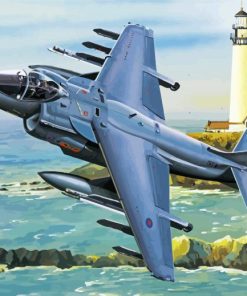 Harrier Plane paint by number