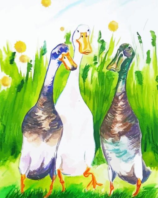 Indian Runner Duck Art paint by number