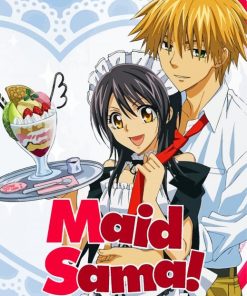 Maid Sama Poster paint by number