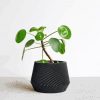 Minimalist Plant In Black Pot paint by number