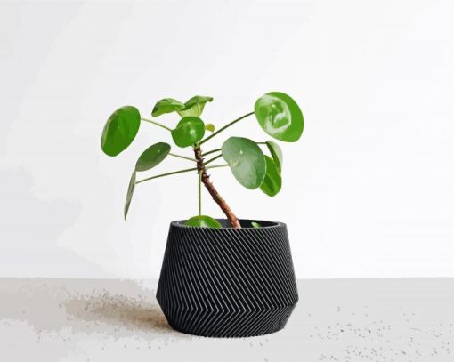 Minimalist Plant In Black Pot paint by number