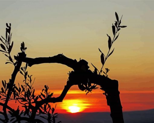 Olive Tree Silhouette At Sunset paint by number