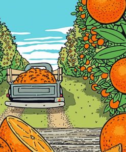 Orange Grove Illustration paint by number