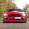 Red Ford Shelby GT350R paint by number