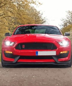 Red Ford Shelby GT350R paint by number