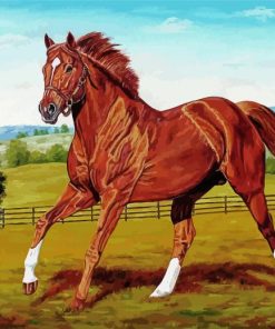 Secretariat Horse Art paint by number