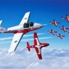 Snowbirds Planes paint by number